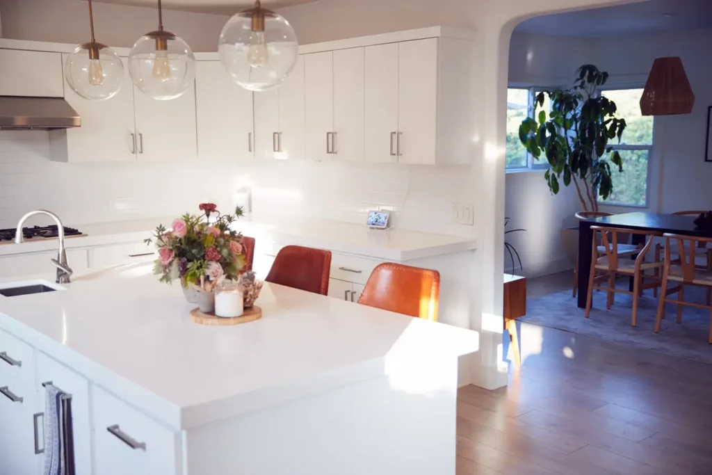 Deep Cleaning vs Regular Cleaning in Castle Rock:  When You Need Each