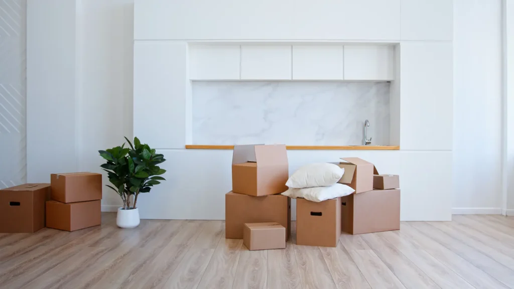 Move-In Cleaning Checklist for Castle Rock, CO: What to Clean Before You Unpack